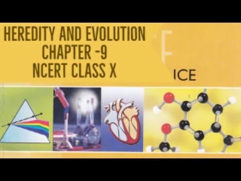 Heredity and Evolution -Chapter 9 Class 10 Science #OnlineClasses