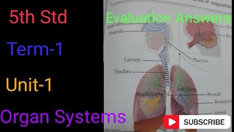 5th Std / Science /Term-1 / Unit-1/ Organ Systems /Book back Answers