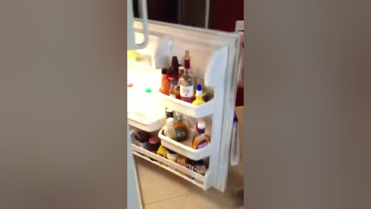 Safety 1st Refrigerator Door Lock Decor YouTube