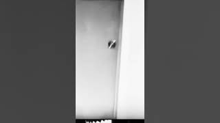 Real horror girl hears terrifying sounds #horror #realhorror #scary #ghost #scarystoriesintherain