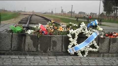 Lessons from Auschwitz