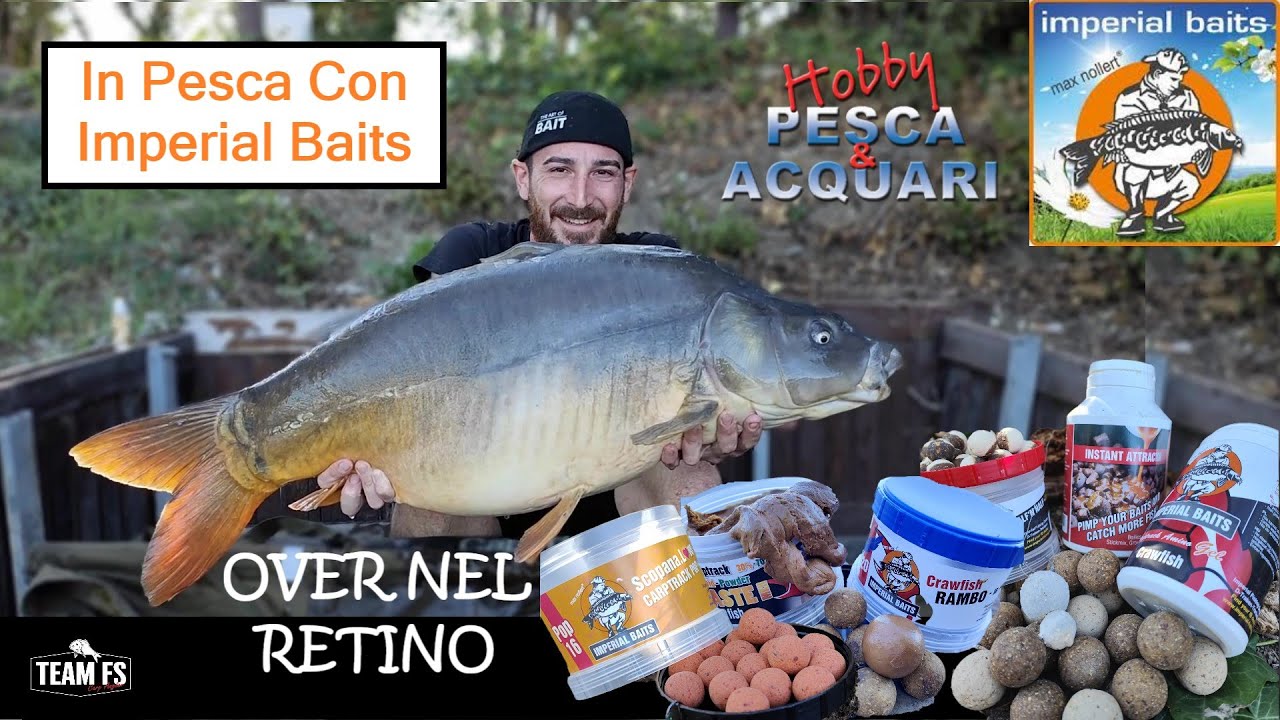 TEAMFS & IMPERIAL BAITS in Session at Angler Park (The Perfect Match)  FullHD 