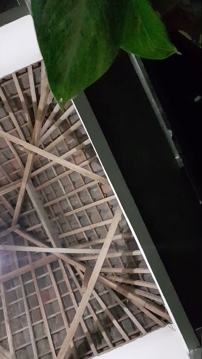 Story wa kopi dangdut akustik