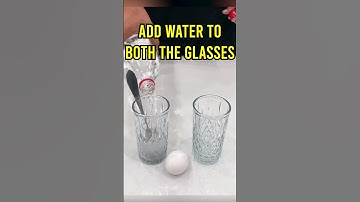 EGG floating in salt Water | Egg and Water Density experiment #shorts #trendingvideo #youtubeshorts