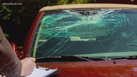 You just hit a deer, now what? Find out what insurance covers