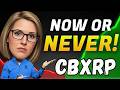 Coinbase Wrapped XRP Volume Surges 61% Following Base Pool Launch!