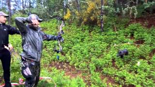 Campeonato Provincial De Recorridos De Pontevedra