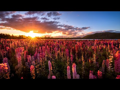 Lumidelic - Spirit