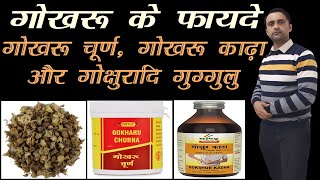 गखर क फयद, Gokhru Ke Fayde, Gokhru Churna Ke Fayde