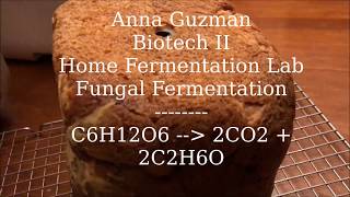 Biotech II Fermentation Lab