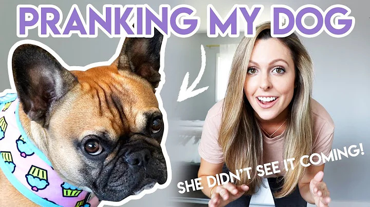 PRANKING MY DOG