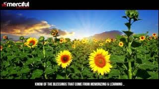 Blessed Be Your Efforts   Nasheed By Muhammad Al Muqit