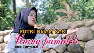 putri nilam sari-orang pamaleh cipt;Tarmizi u(Official musik video)
