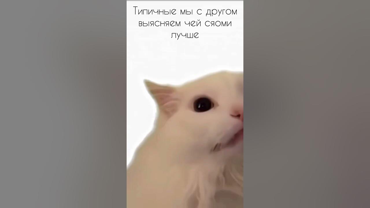 Типичные мы с другом выясняем чей сяоми лучше #shorts #рек #мем #xiaomi ...