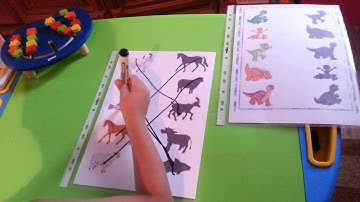 I&K Shadow Matching - Fine Motor Skills Activity