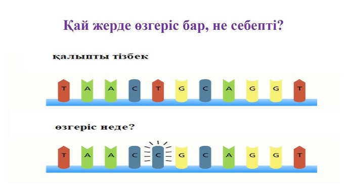 Орыс лесбиянкалық порно видео шоу