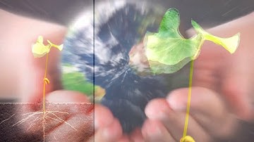 Crop Residue Management