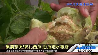 農損破億 高山高麗菜價格漲一倍 八大民生新聞 2021080703