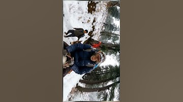 Gemini VEO 3 Monkey Begins Kedarnath Yatra 🐒🚩 | AI-Generated Vlog #gemini #aivideo