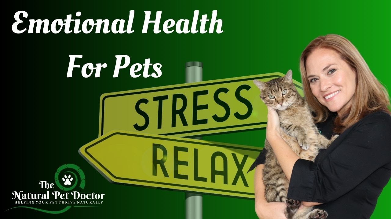 Emotional Health for Your Dogs and Cats with Dr. Katie Woodley The