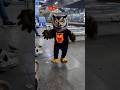 😃😃viral owl dance😃 ##trending video ##viral short#