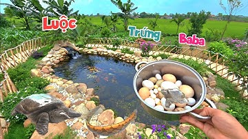 Thăm Cá Koi Con Tự Ấp Nở Lớn Quá Rồi Và Lần Đầu Luộc Ăn Thử Trứng Baba / Quế Nghịch