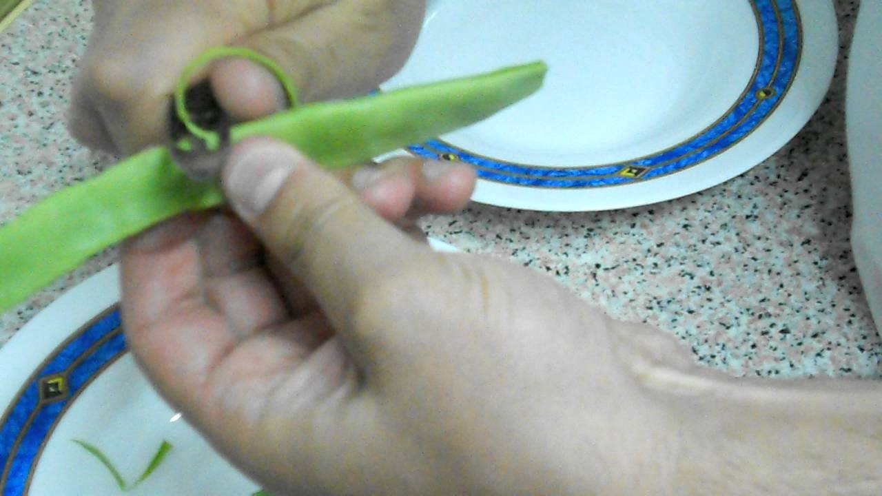 Consejos para limpiar judías verdes de forma efectiva