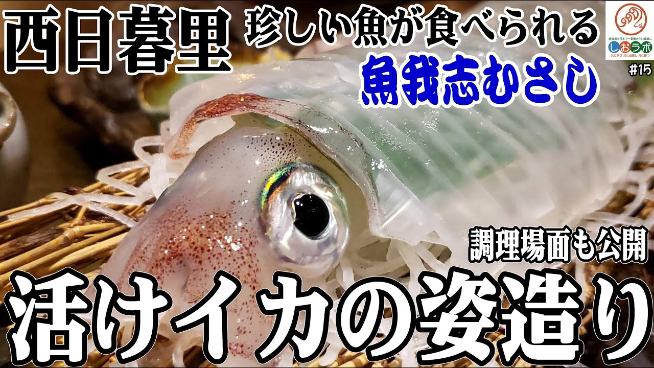 西日暮里 海鮮 活けスルメイカの姿造り 美しさと食感にハマる調理の裏側 魚我志むさし 西日暮里 千駄木 田端 しおさんの看板商品食べ歩き１５ Pinqueue
