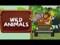 The Secret Lives of Wild Animals