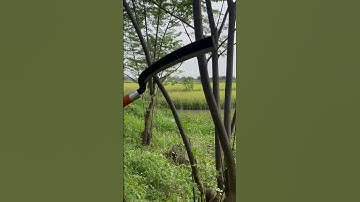 Tôi làm con dao phát rẫy bằng thép chốt xích xe tăng sắc nét đáng kinh ngạc