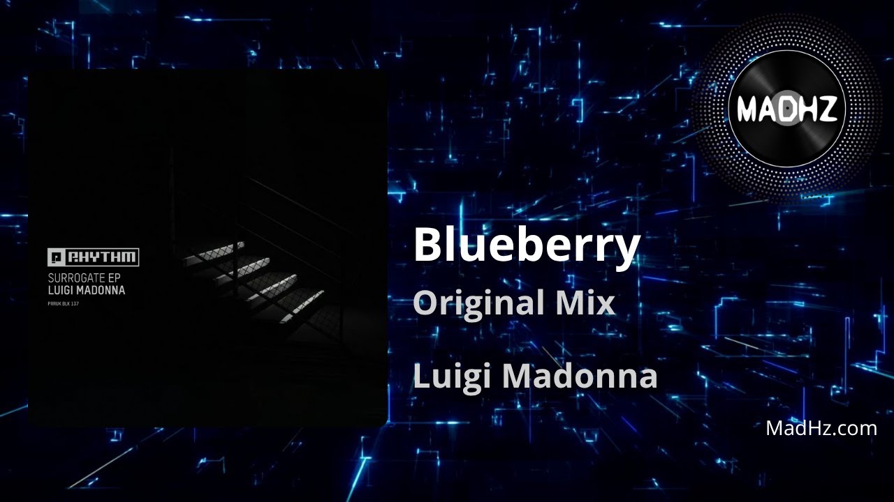 DJ MALU ブルーベリー　blueberry #01 & #02 ミックス DJ MALU ブルーベリー blueberry #01 & #02 ミックス 【公式通販】