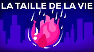 Que Se Passe-T-Il Si Lon Jette Un Éléphant Du Haut Dun Gratte-Ciel ? Vie Et Taille 1