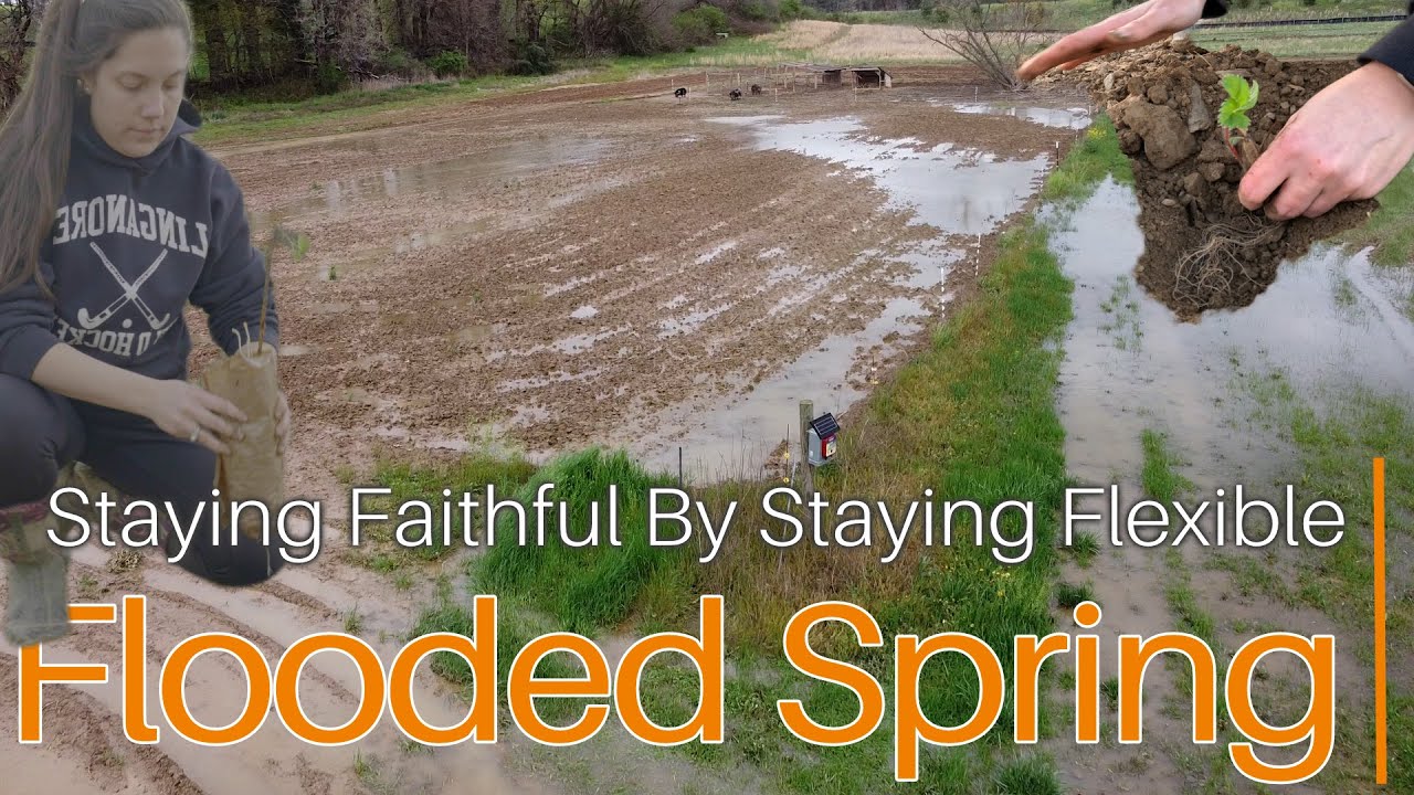 We're Staying Faithful and Flexible Through a FLOODED SPRING - YouTube