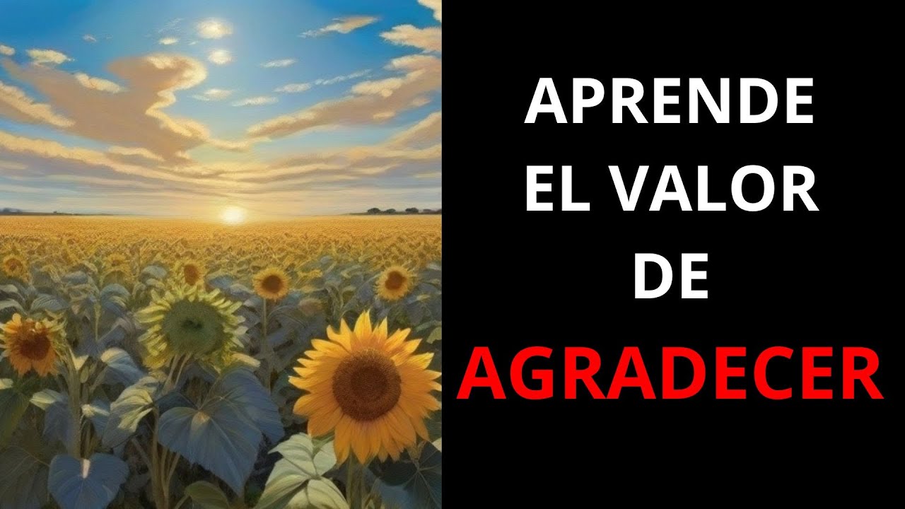 "Descubre cómo la gratitud puede cambiar tu vida y traer alegría a cada ...