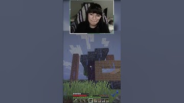 The lion does not concern themselves with rooftop safety #minecraft #streamer #twitch