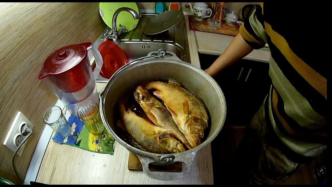 Горячее копчение окуней. Способ копчения рыбы в домашних условиях ...