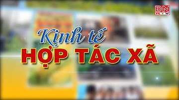 Phát huy vai trò của phụ nữ trong quản lý hợp tác xã