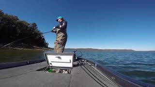 Cranking a smallmouth on Greers Ferry