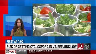 Cyclospora risk in Vermont remains low, health officials say