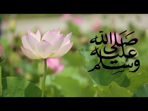 arabic-naat-for-status|islamic-arabi-whatsapp-status-naat-2019