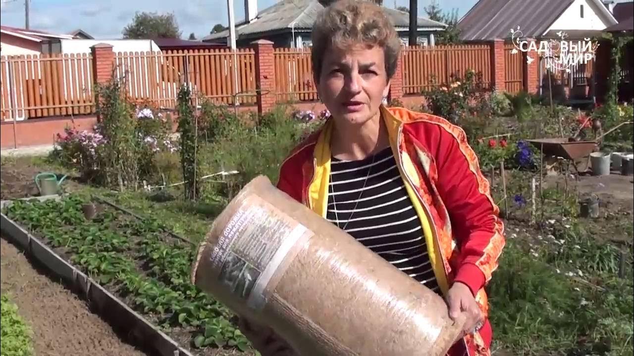 Видео сада ютуб. Садовый мир белгород. Огород - сад медведевых. Видео сада ютуб. Садовый мир с натальей петренко.