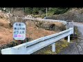 禁漁の川はヤマメだらけなのか?【東京】