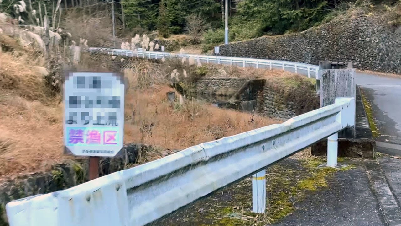 禁漁の川はヤマメだらけなのか？【東京】