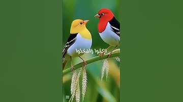 سوره الحج #قرٱن