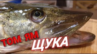 Щука Том Ям. ТАЙСКИЙ РЕЦЕПТ из ЩУКИ! Щука Том Ям. ТАЙСКИЙ РЕЦЕПТ из ЩУКИ!