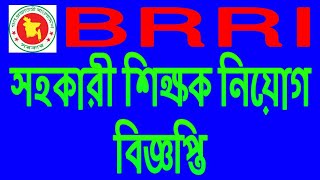 Assistant Teacher job Notice to Government School BRRI || Public tv || Asmma Shawon
