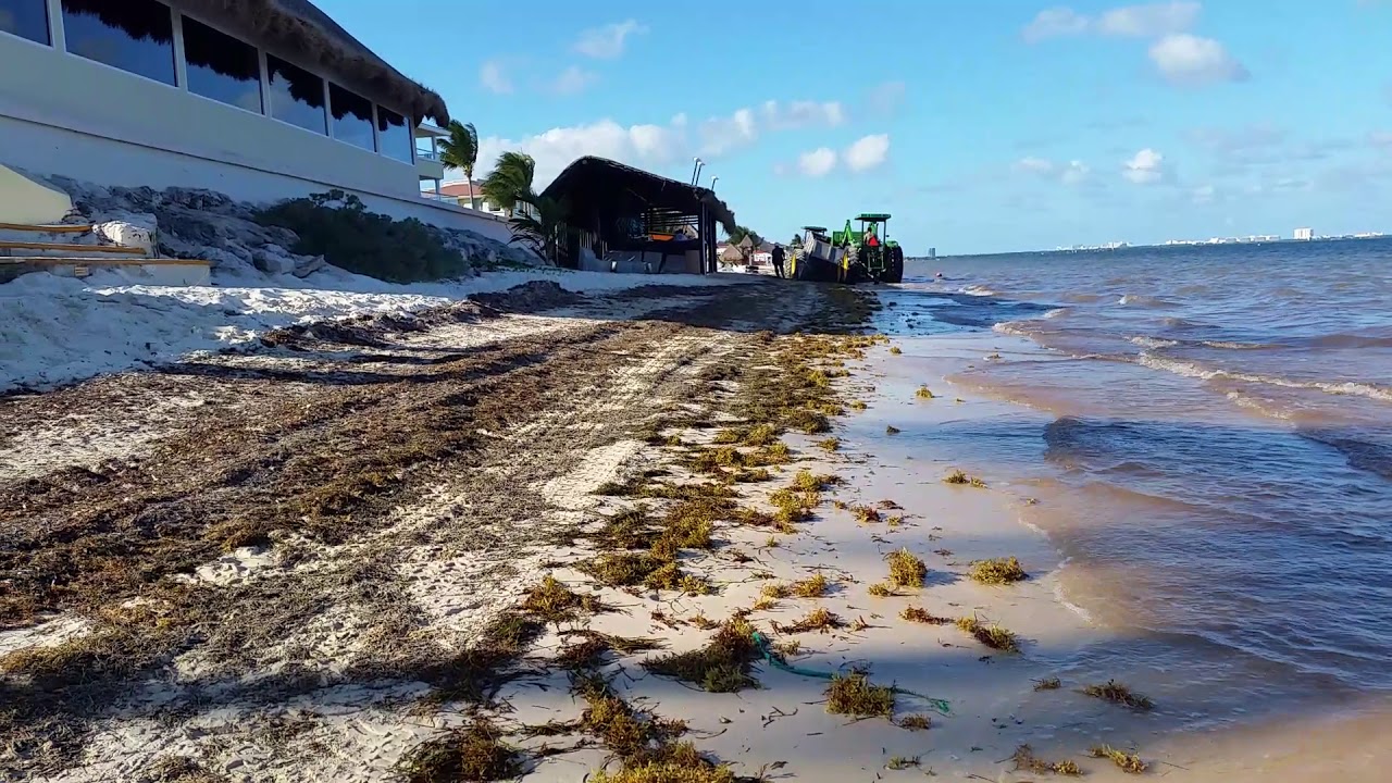 Moon Palace cancun horrible Beach - YouTube