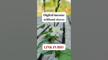 How I Made $10,000 FAST Using These ChatGPT Prompts (No Experience Needed!)