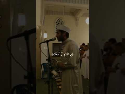 سورة الصافات آيات ٩٩ ١٠٢ القارئ ياسر ممدوح     99 102   