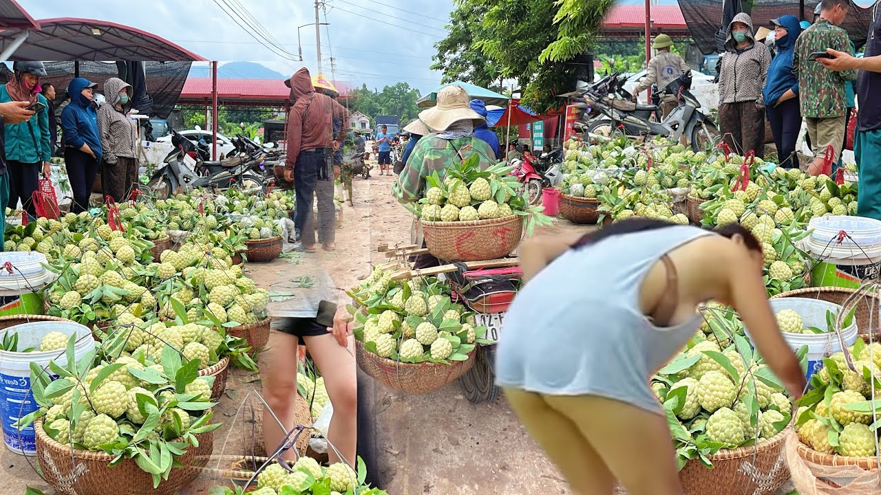Phiên Chợ Na Chi Lăng Ngày Cuối Tuần Giá Cao Hơn Ngày Bình Thường